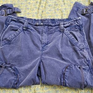 We The Free Blue Cargo Pants